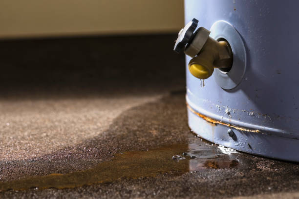Best Water damage cleanup near me  in Rotonda, FL