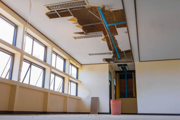 Best Basement water damage restoration  in Rotonda, FL
