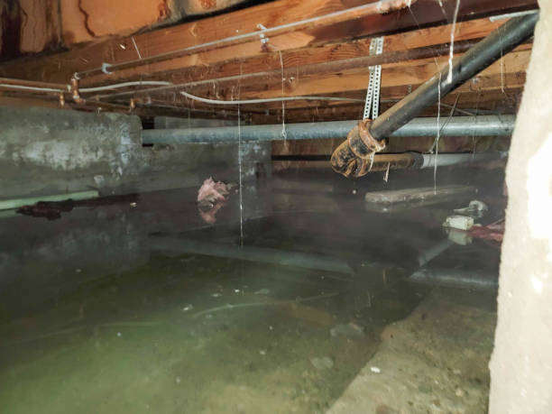Best 24-hour water damage restoration  in Rotonda, FL
