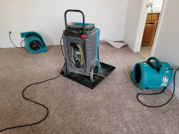 Best Water damage contractors near me  in Rotonda, FL