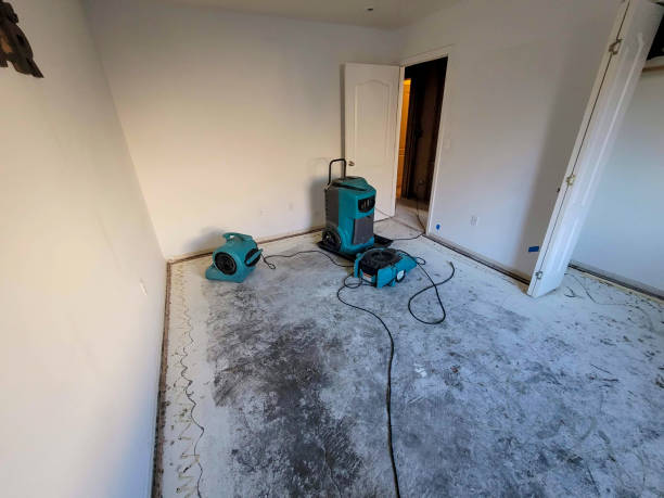 Best Sewage cleanup and water damage restoration  in Rotonda, FL