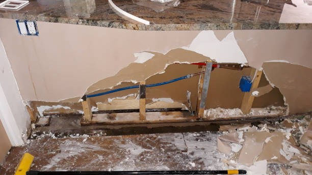 Best Water damage restoration near me  in Rotonda, FL