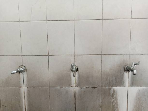 Best Water damage restoration company  in Rotonda, FL