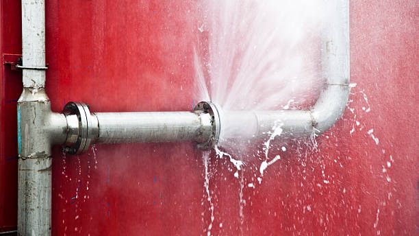 Best Water damage restoration near me  in Rotonda, FL