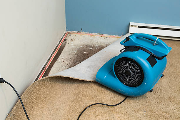 Best Flooded house restoration  in Rotonda, FL